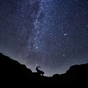 The Ibex and the milky way
