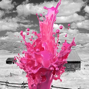 Pink splash in Paddock