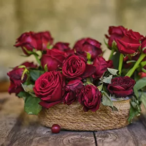 romantic red roses in a wicker basket