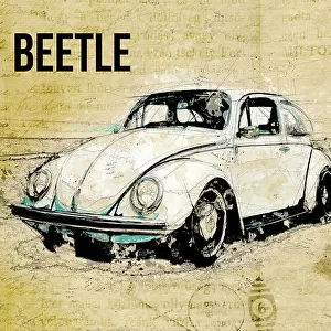 Volkswagen vw beetle