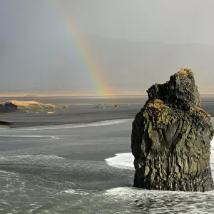 Reynisdrangar basalt sea stack with rainbow, Vik, Iceland, February 2017