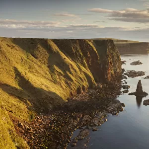 Sea stacks in morning light, Duncansby Head, John O Groats, Caithness, Scotland, UK