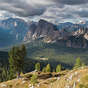 Views over Cristallo and the Dolomite Mountains from Ciadin del Luodo, Belluno Province