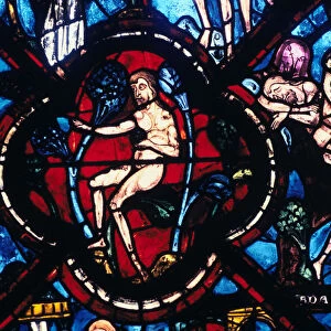 Adam in Eden, stained glass, Chartres Cathedral, France, 1205-1215