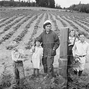 The Arnold children and mother on their newly fenced... Michigan Hill, Thurston County, 1939. Creator: Dorothea Lange