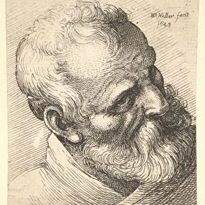 Bearded old man with a tilted head, 1645. Creator: Wenceslaus Hollar