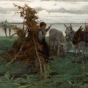 Boys herding donkeys, 1865. Artist: Maris, Willem (1844-1910)