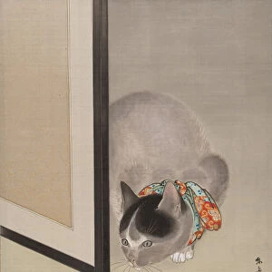 Cat Watching a Spider, ca. 1888-92. Creator: Toko Oide