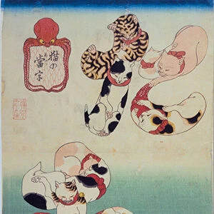 Cats forming the caracters for Octopus, from the series Cat Homophones (Neko no Ateji), ca 1842