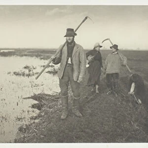 Coming Home from the Marshes, 1886. Creator: Peter Henry Emerson