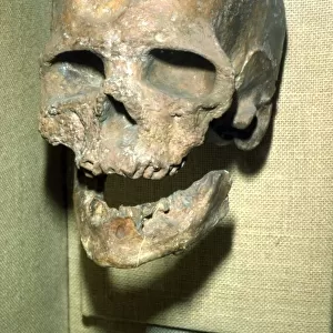 Cromagnon Skull Upper Paleolithic from France, c50, 000BC-c10, 000 BC