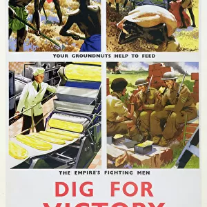 Dig for Victory, propaganda poster for Britains African colonies, c1940. Artist