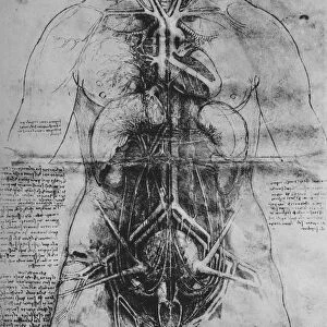 Dissection of the Principal Organs of a Woman, c1480 (1945). Artist: Leonardo da Vinci