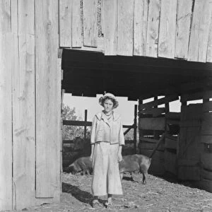 Dora Mae Tengle, Hale County, Alabama, 1936. Creator: Walker Evans