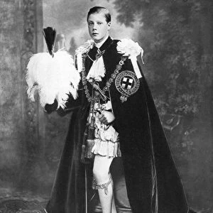 Edward, Prince of Wales as a Knight of the Garter, early 20th century