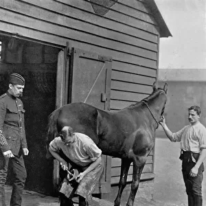 The Farrier-Major of the Royal Horse Guard, 1896. Artist: Gregory & Co