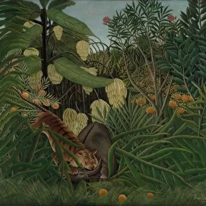 Fight between a Tiger and a Buffalo, 1908. Creator: Henri Rousseau (French, 1844-1910)