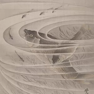 Fish in a Whirlpool, ca. 1887. Creator: Kawanabe Kyosai