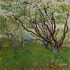 The Flowering Orchard, 1888. Creator: Vincent van Gogh