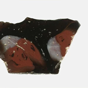 Fragment of a Floral Inlay, 1st century BCE-1st century CE. Creator: Unknown