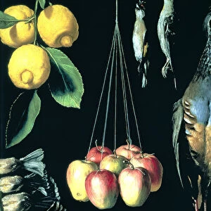 Game, fruits and vegetables, 1602, detail. Work by Juan Sanchez Cotan