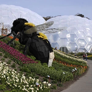 Giant bumble bee sculpture, Eden Project, near St Austell, Cornwall