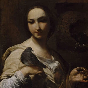 Girl Holding a Dove, 1721-27. Creator: Giuseppe Maria Crespi