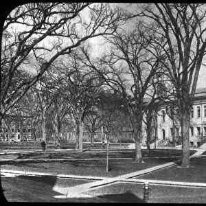 Harvard University, Cambridge, Massachusetts, USA, late 19th or early 20th century