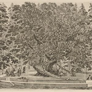 The Inhabited Tree, probably 1653. Creator: Stefano della Bella