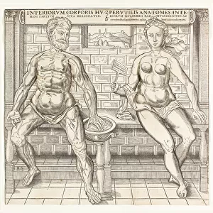 Interiorum corporis humani partium viva delineatio, from the second edition of the... 1555/59. Creator: Monogrammist R. S
