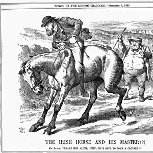 The Irish Horse and Master (?), 1885. Artist: John Tenniel