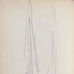 Italian Sketchbook: Sail (page 71), 1898-1899. Creator: Maurice Prendergast (American, 1858-1924)
