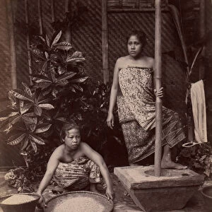 Javanese Women Preparing Rice, 1860s-70s. Creator: Unknown