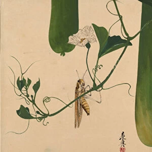 Lacquer Paintings of Various Subjects: Grasshopper on Gourd Vine, 1882. Creator: Shibata Zeshin