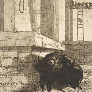 Le Corbeau, 1859. Creator: Felix Bracquemond
