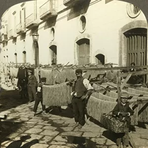 Macaroni drying in the dirty streets of Naples, Italy, c1909. Creator: Unknown