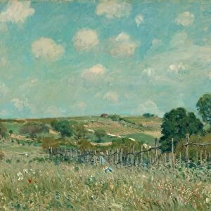 Meadow, 1875. Creator: Alfred Sisley