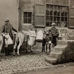 Milk Donkeys, c. 1890. Creator: Frank Meadow Sutcliffe