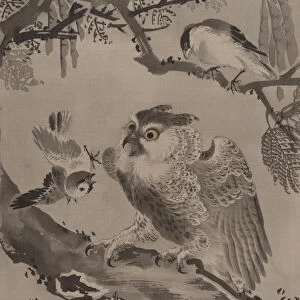 Owl Mocked by Small Birds, ca. 1887. Creator: Kawanabe Kyosai