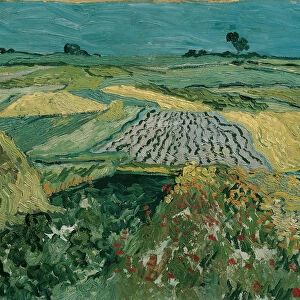 The Plain of Auvers, 1890. Artist: Gogh, Vincent, van (1853-1890)