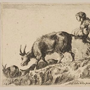 Plate 14: shepherdess herding goats, ca. 1641. Creator: Stefano della Bella