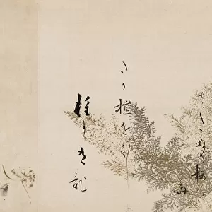 A Poem from the Shin Kokinshu with Design of Shinobugusa (Moss Fern), 1605-10. Creator: Hon'ami Koetsu