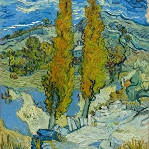 The Poplars at Saint-Remy, 1889. Creator: Vincent van Gogh (Dutch, 1853-1890)