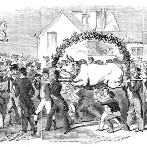 Procession of the ox, at Buckingham, 1844. Creator: Unknown