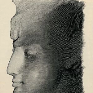 Queen Nefertari, 1886