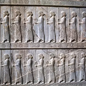 Relief of Immortals, the Apadana, Persepolis, Iran