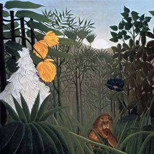 The Repast of the Lion, c1907. Artist: Henri Rousseau