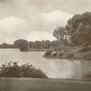 Royal Lakes, Rangoon, 1900. Creator: Unknown