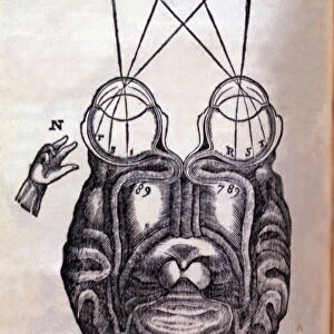 Schematic drawing on the functioning of the brain and human ocular system, engraving
