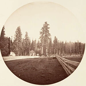 The Sentinels. C. Grove, ca. 1878. Creator: Carleton Emmons Watkins